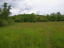 Nordteil der Firnhaberauheide