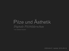 Titelfolie